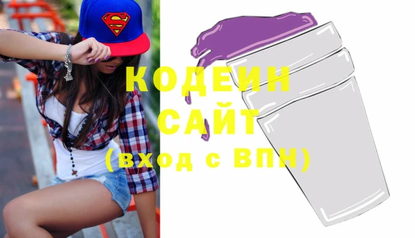 хмурый Елизово