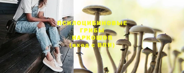 герыч Ельня