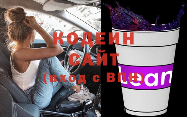 хмурый Елизово