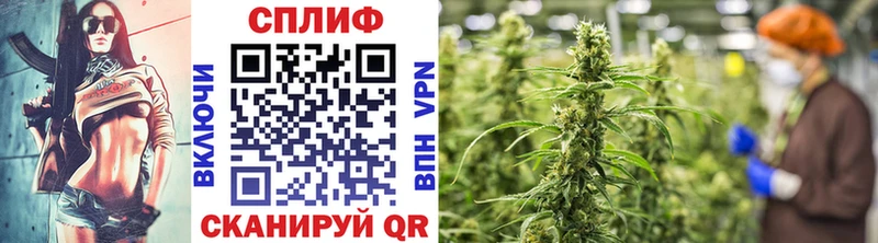 Каннабис семена  Купить закладки  Краснотурьинск 
